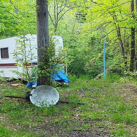 Camping Le P'Tit Bonheur Escaro エクステリア 写真