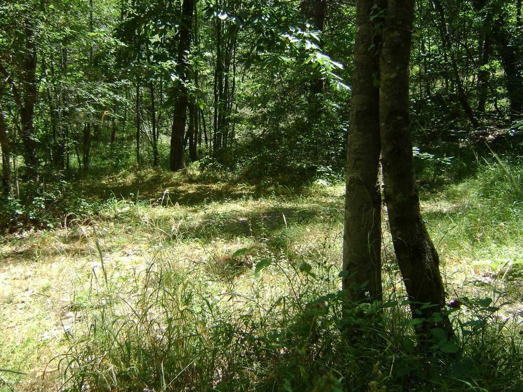 Camping Le P'Tit Bonheur Escaro エクステリア 写真